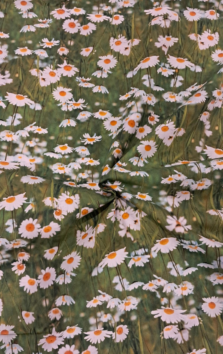 Canvas, Kukkaniitty (20-5211-251P) - Image 4